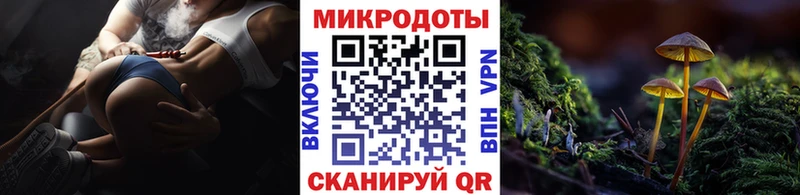 Галлюциногенные грибы прущие грибы  купить закладку  Богучар 